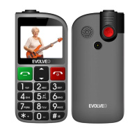 EVOLVEO Mobilní telefon pro seniory s nabíjecím stojánkem EasyPhone FL, stříbrná