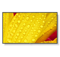 SHARP/NEC LFD 55" MultiSync M551-2, IPS, 3840x2160, 500nit, 8000:1, 8ms, 24/7, DP, HDMI, LAN, USB, Mediaplayer
