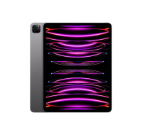 APPLE iPad Pro 11" Wi-Fi + Cellular 2TB - Space Black 2024
