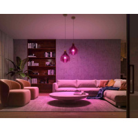 Philips Hue White and Color Ambiance 9W 1100 E27 starter kit