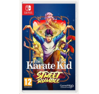 SWITCH hra The Karate Kid: Street Rumble