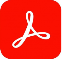 Acrobat Standard DC for teams MP ENG GOV RNW 1 User, 12 Months, Level 1, 1-9 Lic