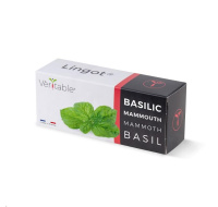 Véritable Lingot Bazalka mamutí