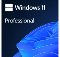 Windows Pro 11 64-BIT ESD