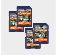 Delkin SDHC Trail Cam R100/W30 (V10) 16GB (4-pack)